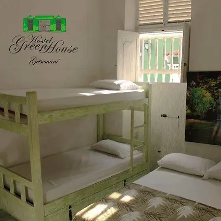 Hostel Green House Getsemani-3